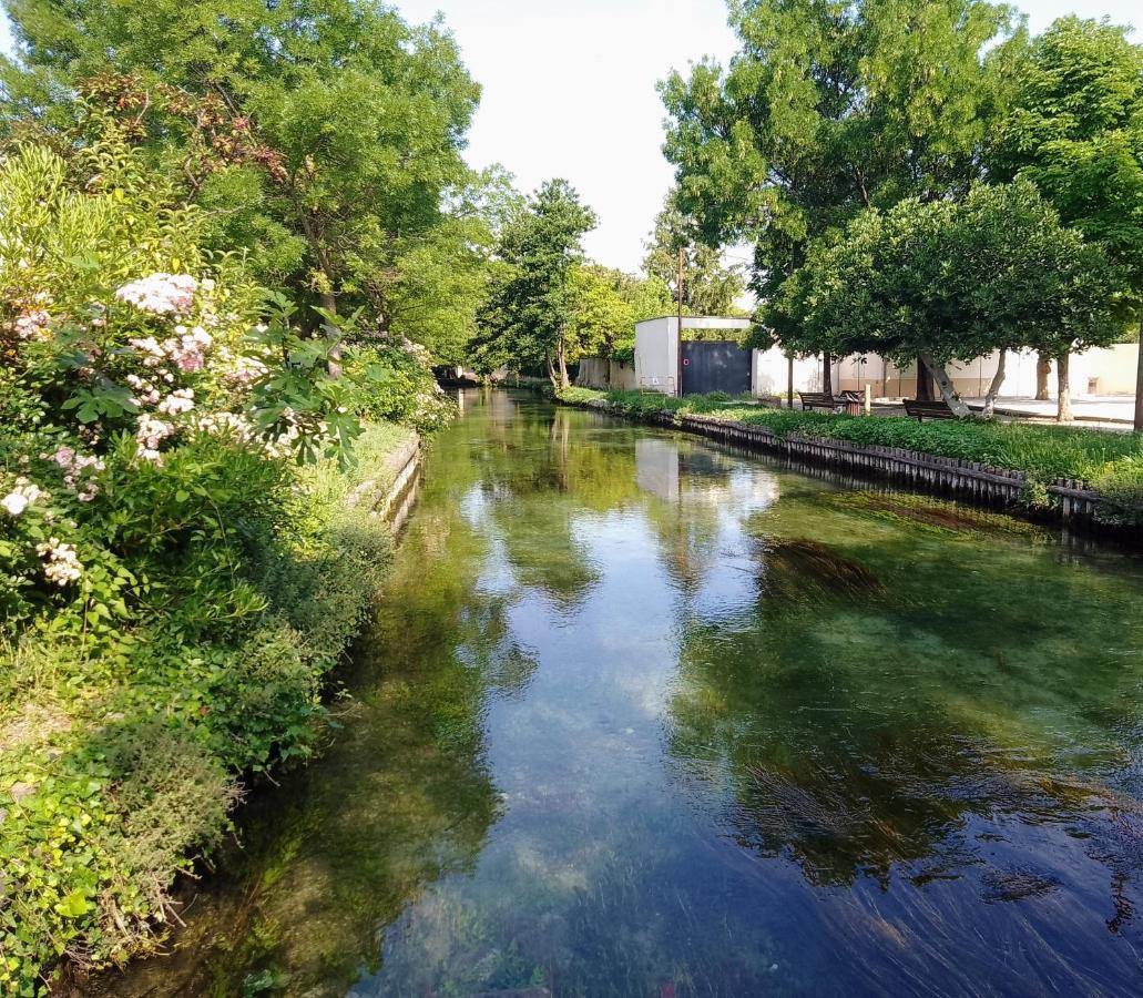 Casa Mia, Chambre Privee En Provence LʼIsle-sur-la-Sorgue Exteriör bild